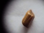 sickle-sena-foetid-cassia1 sickle-sena-foetid-cassia1