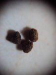 chocolate-2 chocolate-2