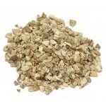 stone-root-richweed-3 stone-root-richweed-3