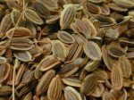 finger-flat-sedge-2 finger-flat-sedge-2